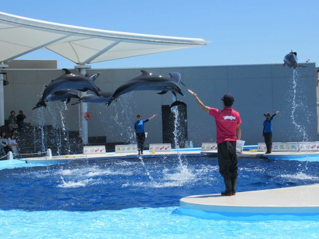 四国水族館3