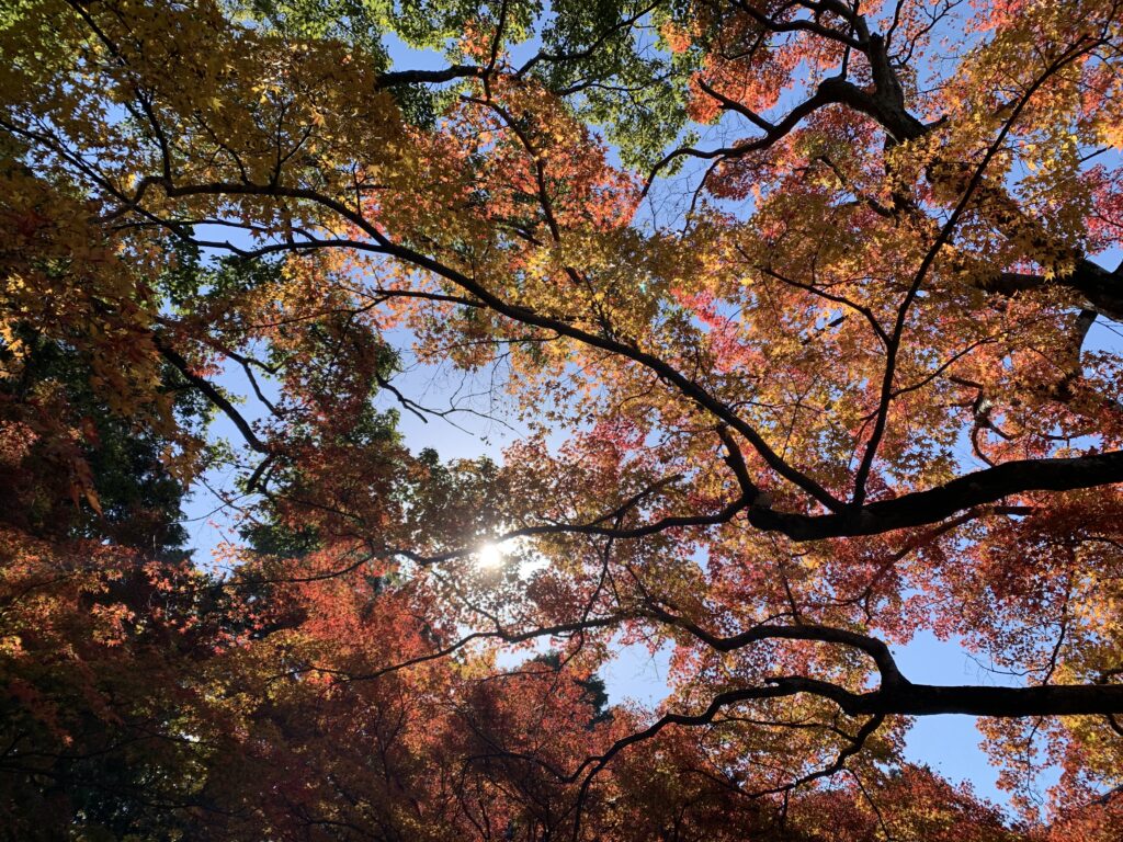 340日ぶりのこんにちは