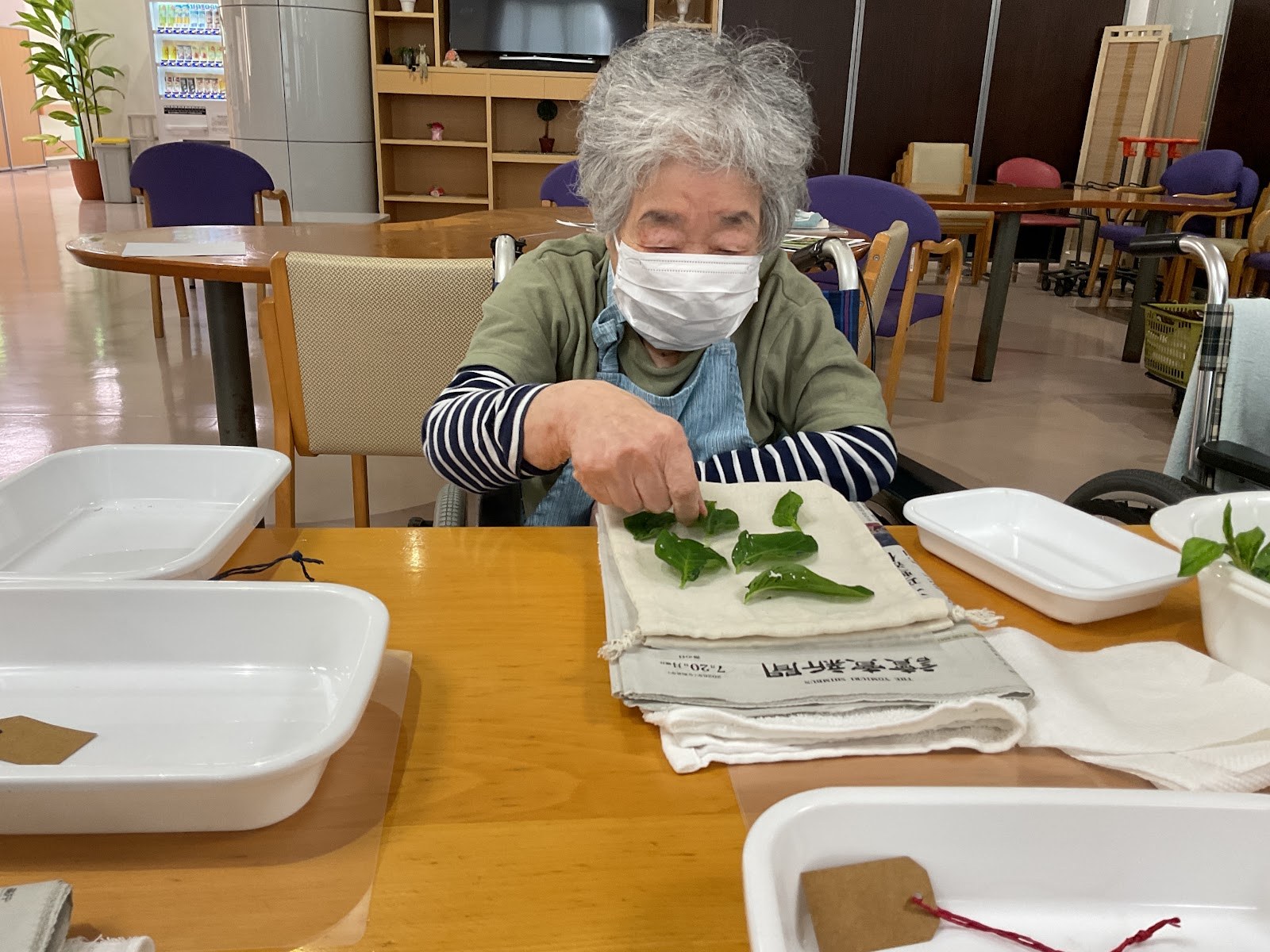 園芸療法の様子